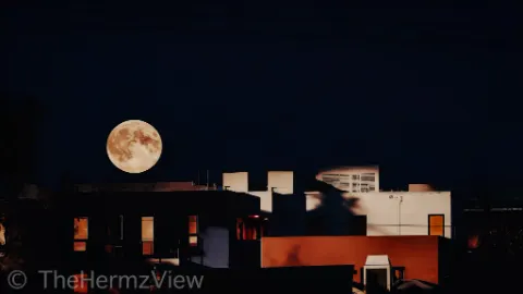A detailed full moon hangs in a dark night sky directly above modern building rooflines with warm interior lights.