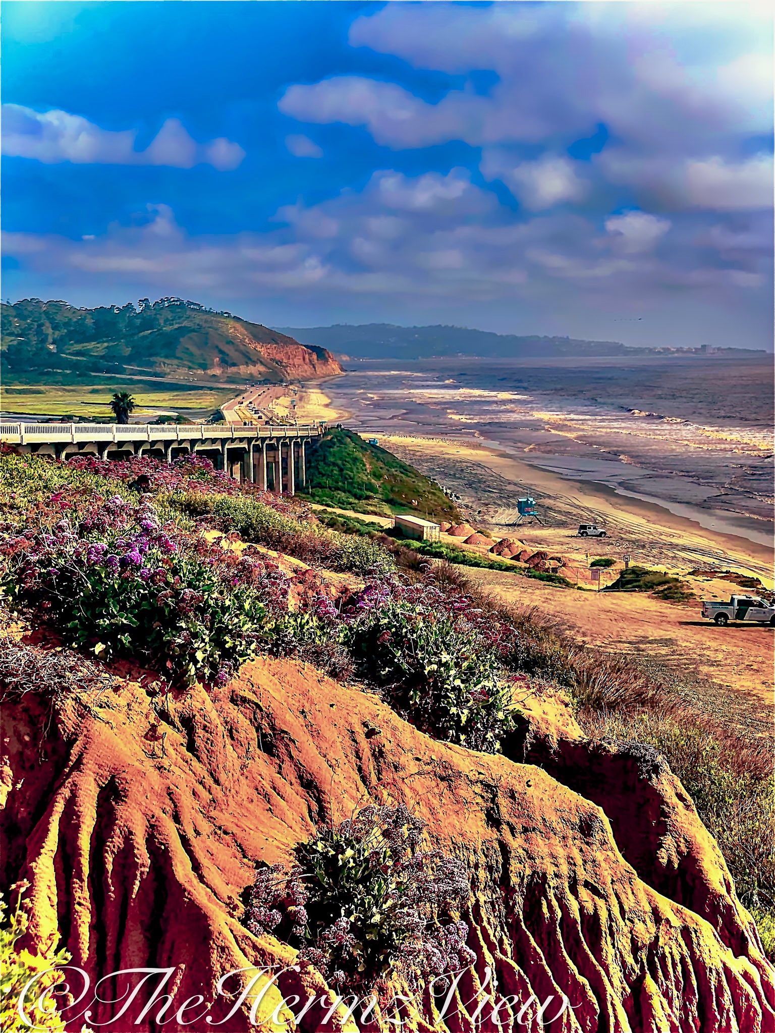 High-angle view of an eroded reddish cliff with purple flowering bushes overlooking a concrete highway bridge, beach, and ocean under a scattered cloudy sky.