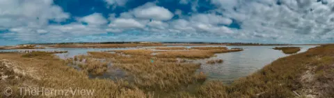 Wide panoramic view of coastal marshland with dry brown grasses in shallow waters under a blue sky with scattered clouds.