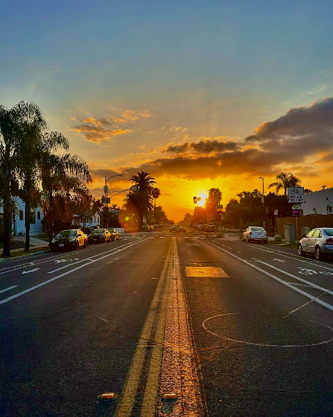 A straight asphalt street lined with palm trees leads toward a bright golden sunset on the horizon.