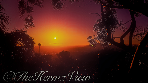 A silhouetted palm tree and branch canopy frame a glowing orange sunset over distant rolling hills.
