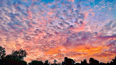 Textured cloud pattern glowing in shades of pink, orange, and purple above silhouetted trees and rooftops.
