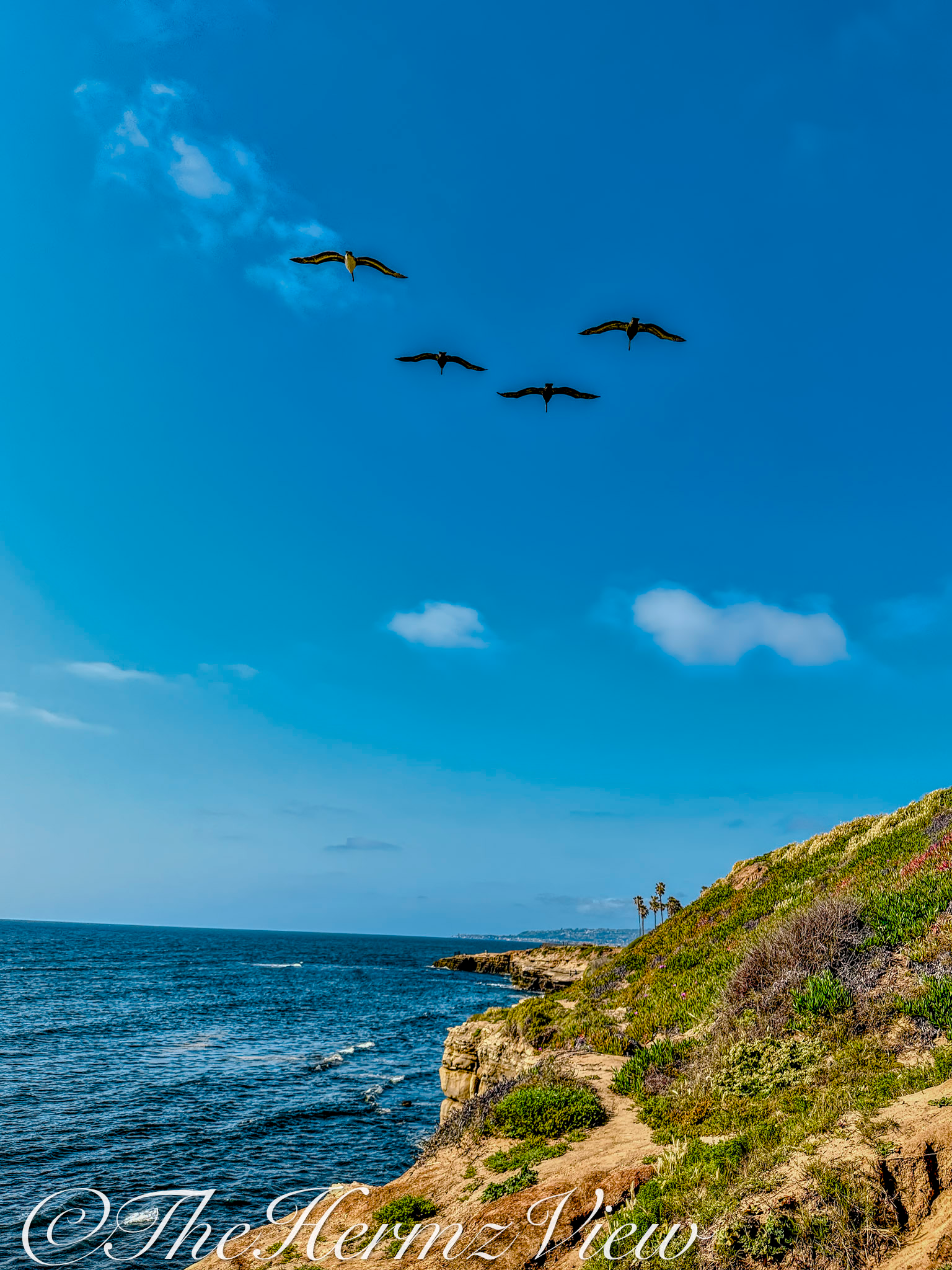 Four large birds fly in formation across a deep blue sky above a coastal cliff edge overlooking the ocean.