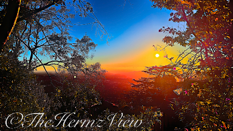 Vivid sunset sky viewed through framing tree branches over a misty distant valley landscape.