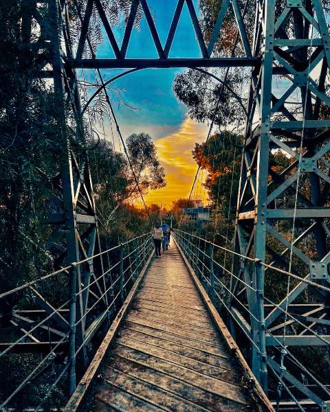A view looking down a narrow wooden footbridge framed by steel lattice towers under a vibrant orange and blue evening sky surrounded by trees.