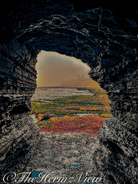 A view looking out from inside a dark, layered sea cave toward vibrant tide pools and hazy ocean cliffs.
