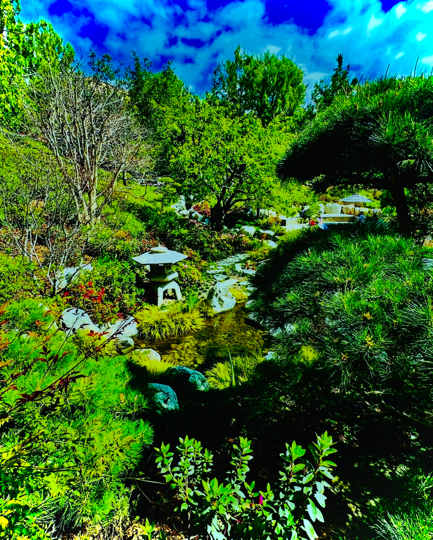 A stone lantern stands beside a shallow stream surrounded by dense pine trees and lush foliage under a bright blue sky.