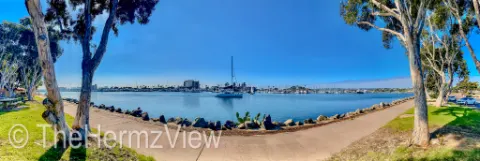 Wide panoramic view of a calm harbor framed by eucalyptus trees along a concrete walking path under a bright blue sky.