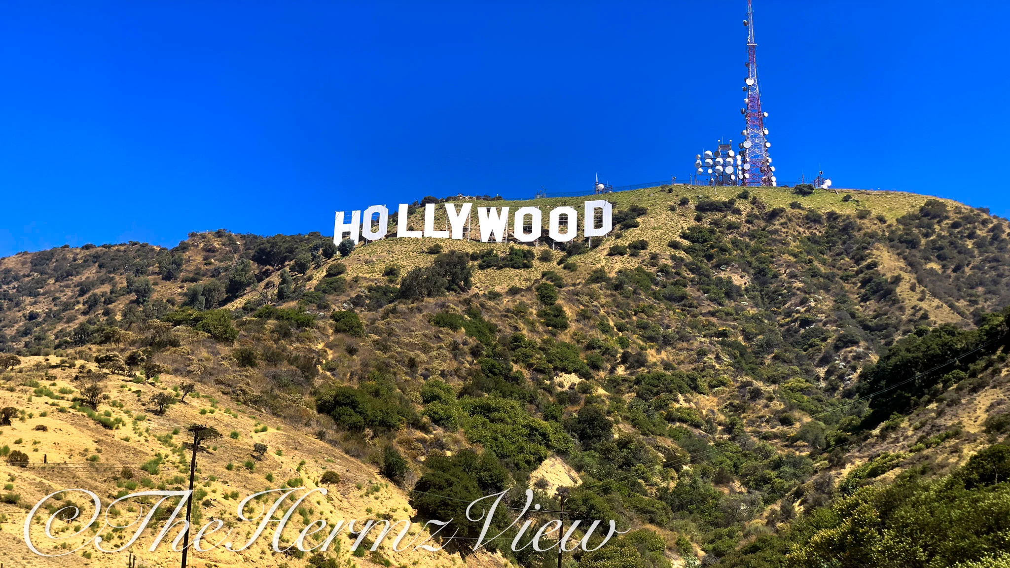 HOLLYWOOD stand on a brush-covered hillside beneath a vibrant blue sky, near a tall communications tower.