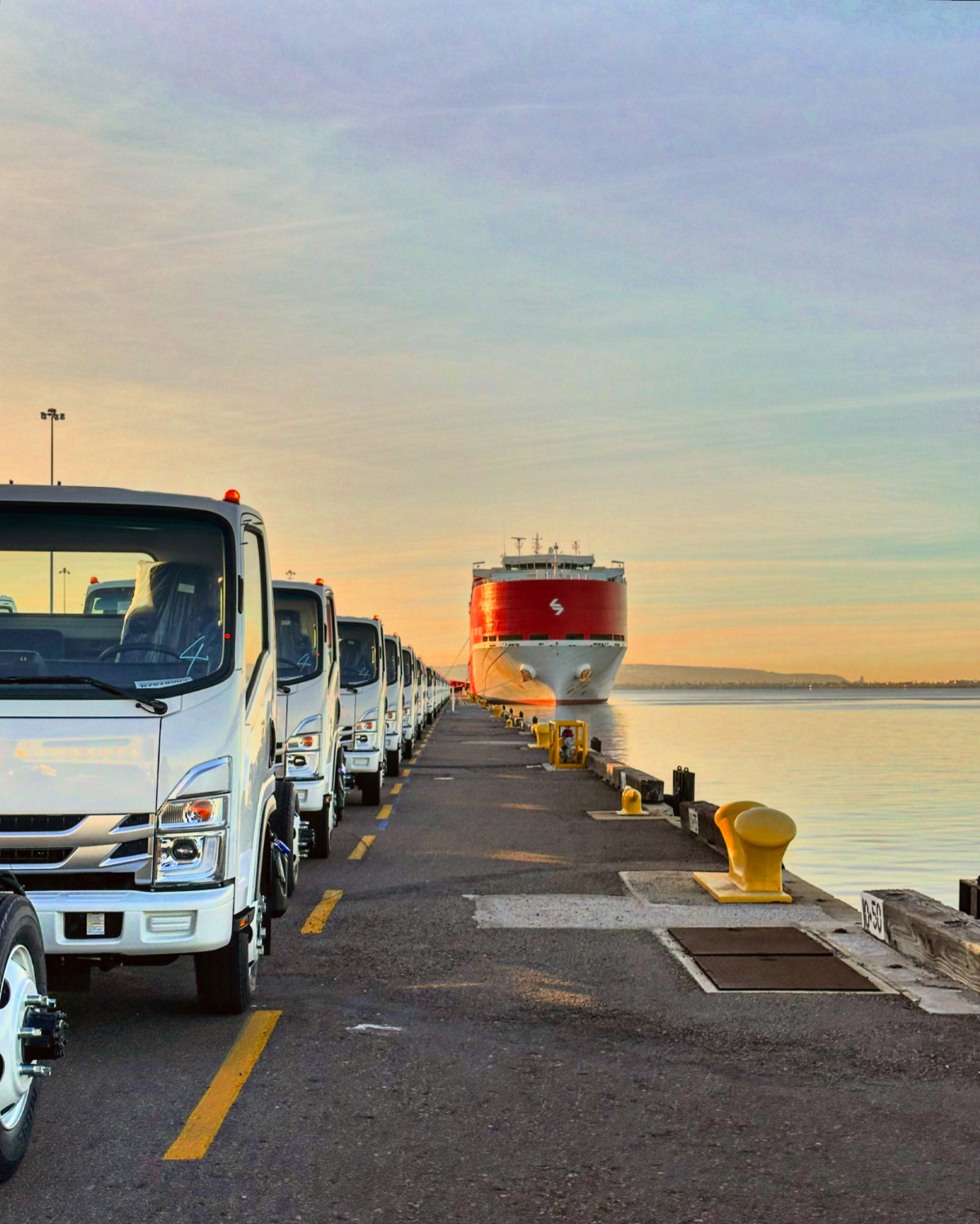 A long line of new white commercial trucks parked along a concrete pier beside a large red and white cargo ship under a soft pastel sky.