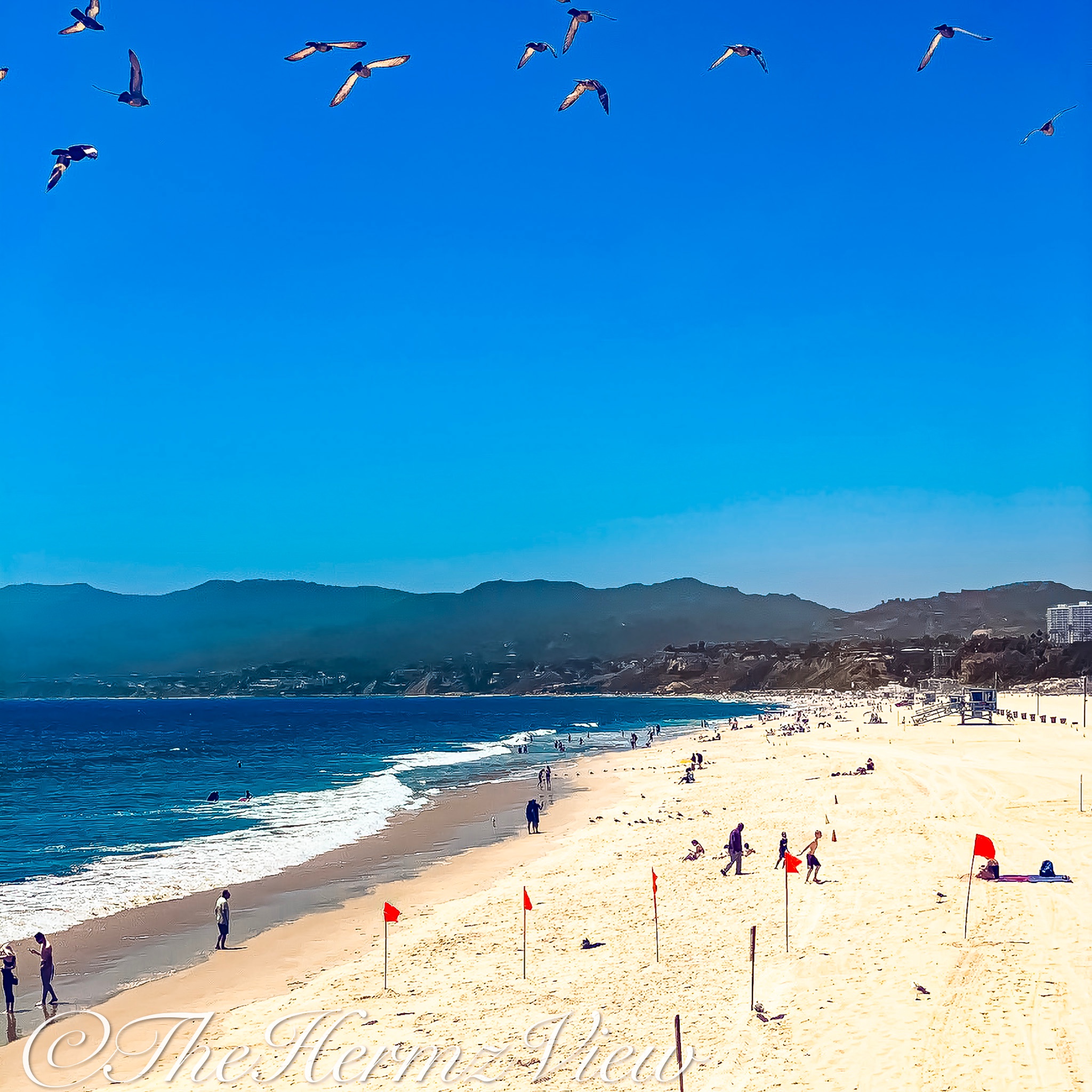 High-angle view of a sandy beach and ocean under a clear blue sky, with birds flying overhead, red flags along the sand, and mountains in the distance.