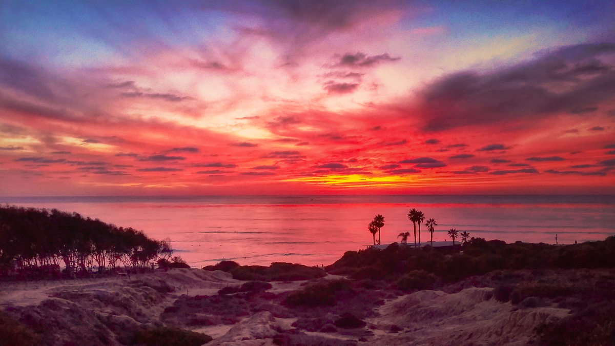 Vibrant pink and orange sunset sky over a calm ocean view framed by silhouetted palm trees and coastal bluffs.