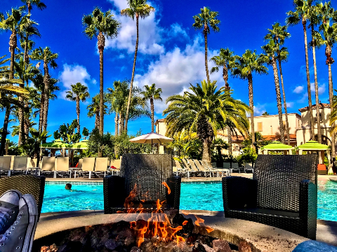 A fire pit with active flames sits poolside near dark woven chairs, surrounded by tall palm trees under a bright blue sky with white clouds.