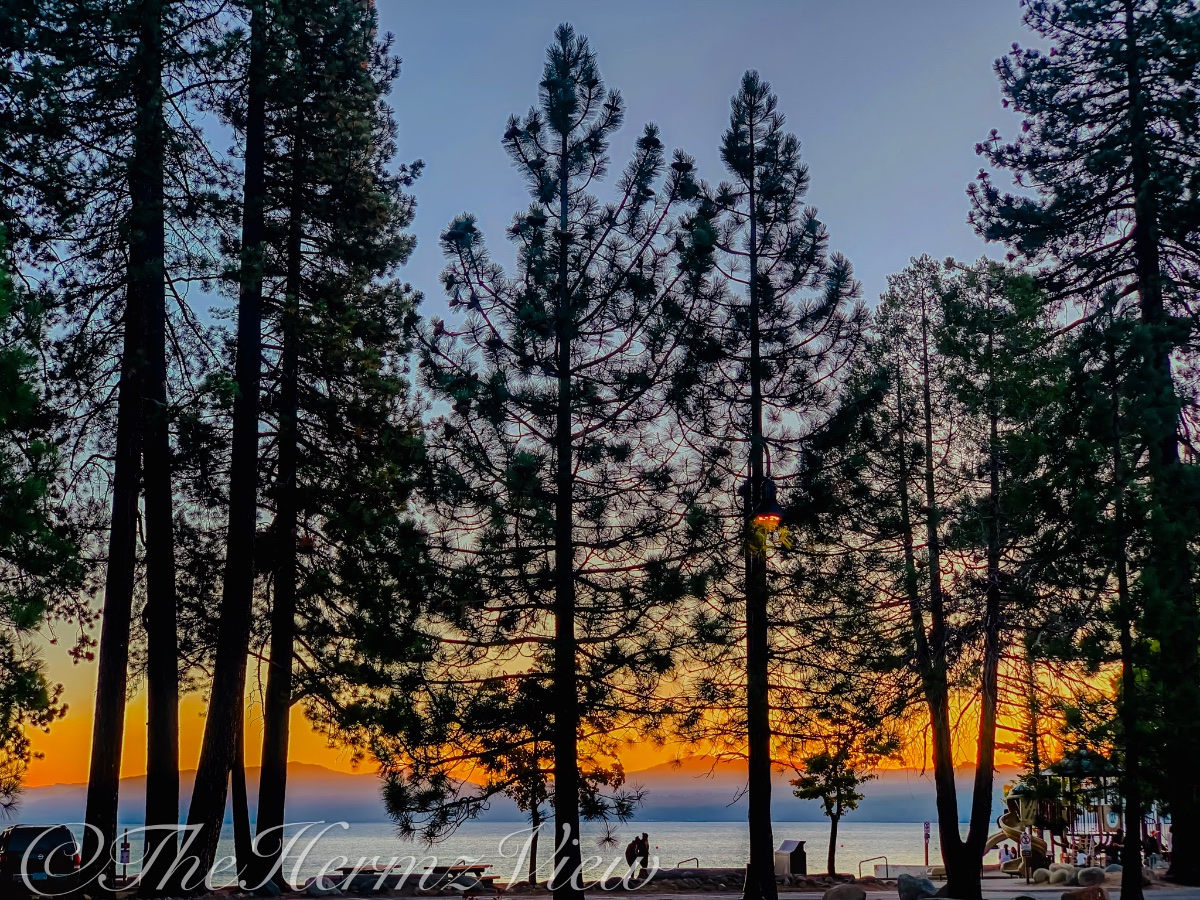 Tall pine trees stand silhouetted against a bright orange twilight sky over a calm lake with distant mountain ridges.