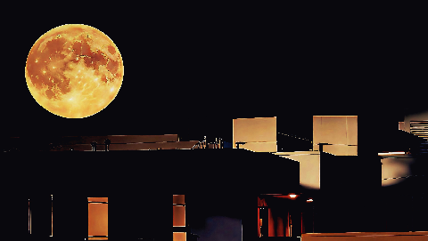 A large golden full moon in a black night sky hovering above the silhouetted roof of a modern building with illuminated windows.