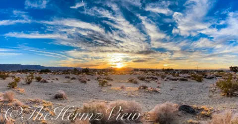 Wide panoramic view of sparse desert shrubs across sandy terrain under a blue sky with wispy clouds surrounding the setting sun on a mountain horizon.