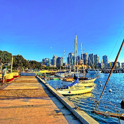 A wide concrete waterfront walkway beside a marina with moored sailboats and high-rise city buildings in the background under a vivid blue sky.